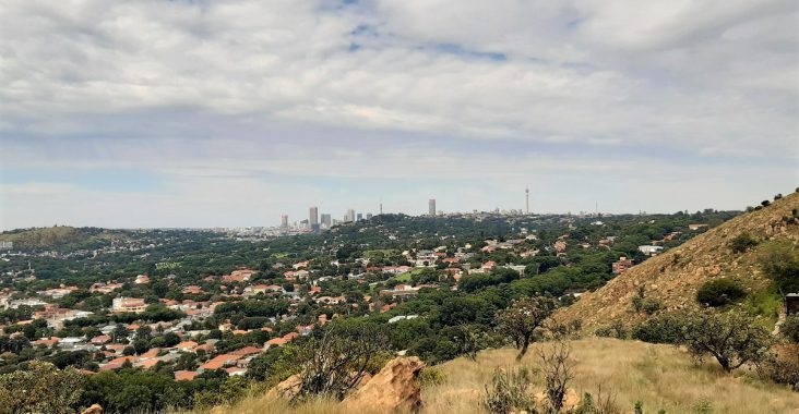 A view of the Johannesburg skyline on a Linksfield Ridge hike